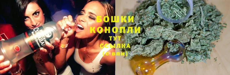 продажа наркотиков  Кашира  Бошки марихуана Amnesia 